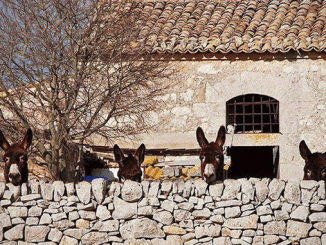 Leutar.net Đavolja priča - Radoslav Bratić