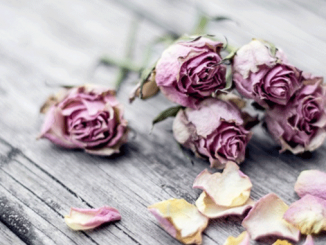 Leutar.net Život je borba?