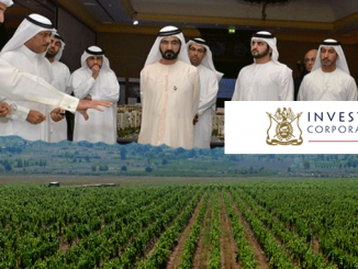Leutar.net Hercegovačke vinograde kupili vladari Emirata