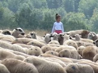 Leutar.net Zemljom Hercegovom: Katuni Čemerno (VIDEO)