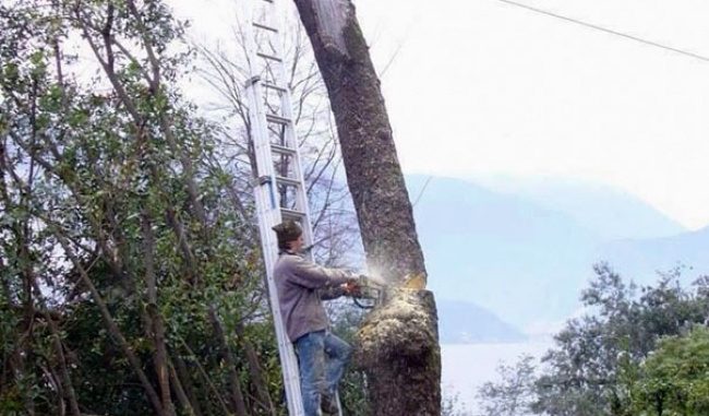 Leutar.net 20 razloga zašto žene žive duže!