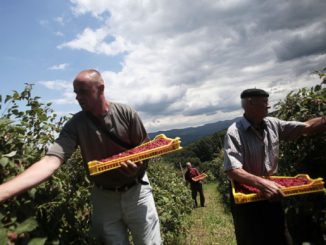 Leutar.net Radije marka u hladu nego stotka na radu!