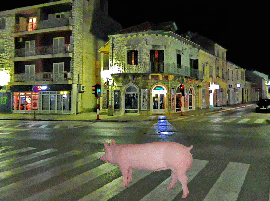 "Swine Travel" u posjeti Trebinju (FOTO) Leutar.net Leutar.net "Swine Travel" u posjeti Trebinju (FOTO)