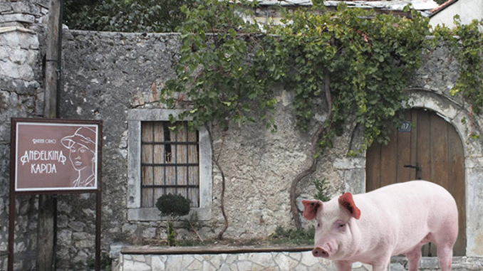 Leutar.net "Swine Travel" u posjeti Trebinju (FOTO)