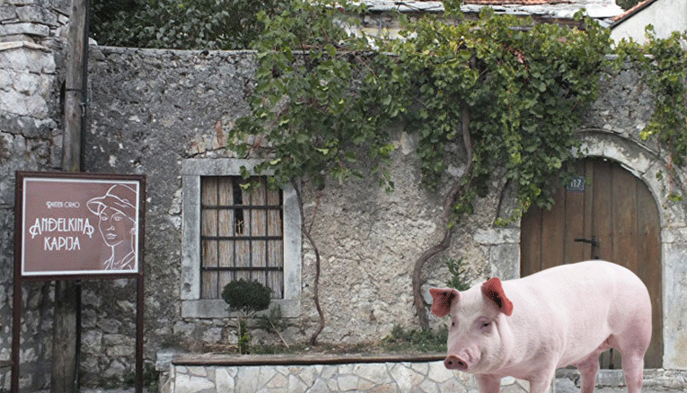 Leutar.net "Swine Travel" u posjeti Trebinju (FOTO)