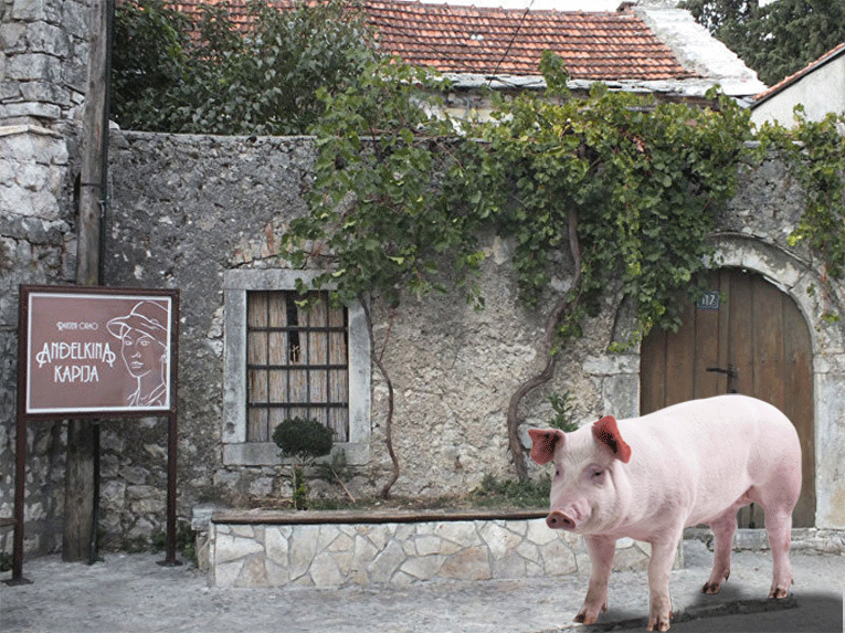 "Swine Travel" u posjeti Trebinju (FOTO) Leutar.net Leutar.net "Swine Travel" u posjeti Trebinju (FOTO)