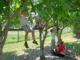 Leutar.net Kako je djeci oduzeta slobodna igra i zamijenjena aktivnostima koje se plaćaju