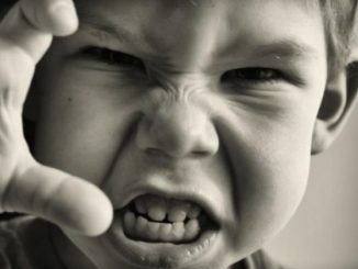 Leutar.net Nevaspitani ljudi imaju podivljalu i agresivnu djecu