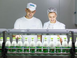 Leutar.net Od porodične firme do giganta: ‘Pađeni’ se svakodnevno širi!