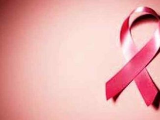 Leutar.net 4. FEBRUAR SVETSKI DAN BORBE PROTIV RAKA