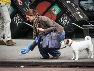 Leutar.net Ako može ona mogu svi