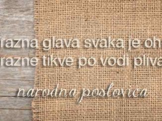 Leutar.net Zašto se ne stidimo svoje neinformisanosti?