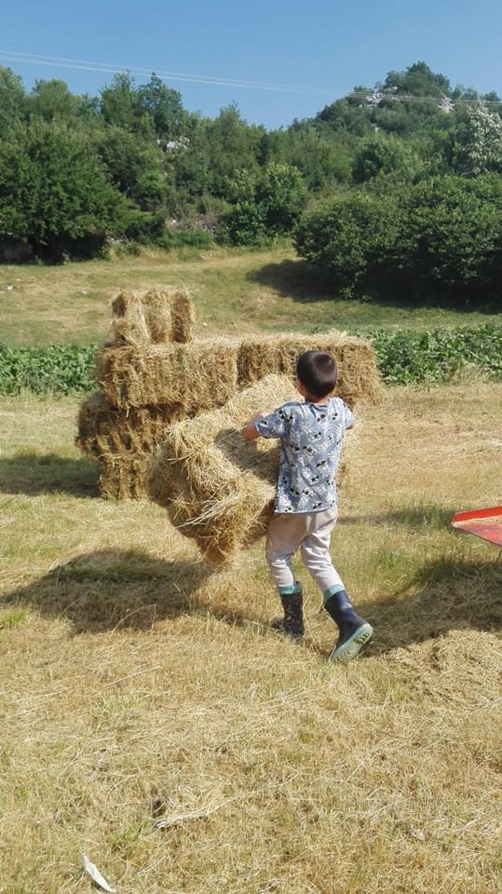 Leutar.net Beograđani Uroš (10) i Vuk (6) otišli u selo kod Trebinja na jedan dan, a sad roditelji ne znaju kako da ih vrate!