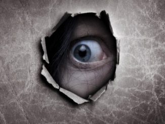 Leutar.net F22.0 (ili… Priča o nama kroz istinitu priču o čovjeku koji je tvrdio da mu bumbar zuji u glavi)