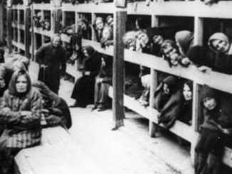 Leutar.net Danas se obilježava Međunarodni dan sjećanja na žrtve Holokausta