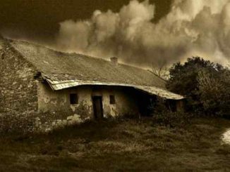 Leutar.net U zadnjih 100 godina...