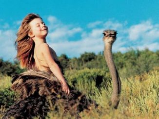 Leutar.net Tipi iz afričke pustinje