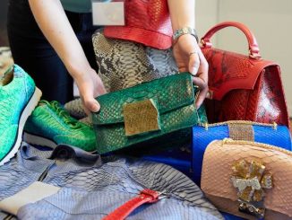 Leutar.net Realna opasnost u BiH: Lažni lijekovi, diplome...