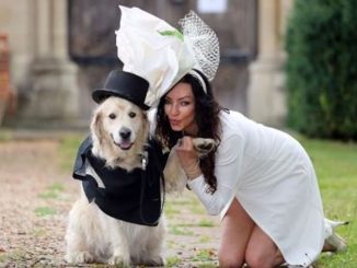 Leutar.net Bivša manekenka se udaje za psa, kumovi dva haskija