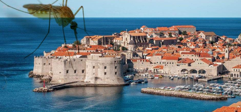 Leutar.net TREBINJSKI KOMARCI SE ŽALE ZBOG ODLIVA KRVI U DUBROVNIK
