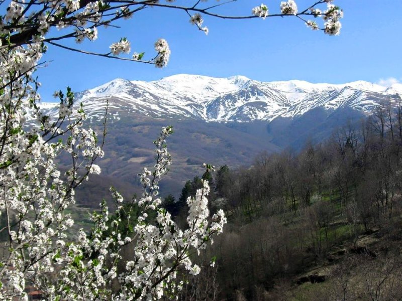 Leutar.net Gotovuša, varošica na Kosovu