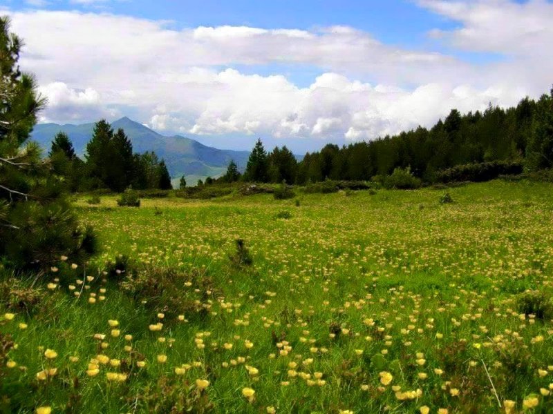 Leutar.net Gotovuša, varošica na Kosovu