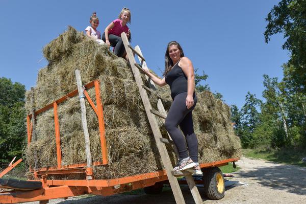 Sama brine o 4 kćeri, 8 ovaca, 40 krava, bori se s vukovima… Leutar.net Leutar.net Sama brine o 4 kćeri, 8 ovaca, 40 krava, bori se s vukovima…