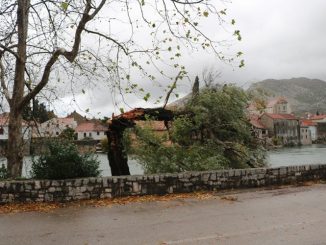 Leutar.net Nevrijeme pogodilo Trebinje: Voda ušla u kuće, stablo polomljeno