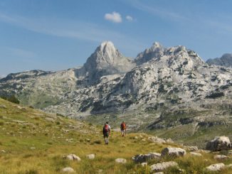 Leutar.net Putevima švercera duvana