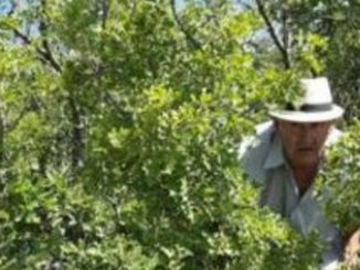 Leutar.net Neđeljko još nije prešao granicu, a kad će ne znamo