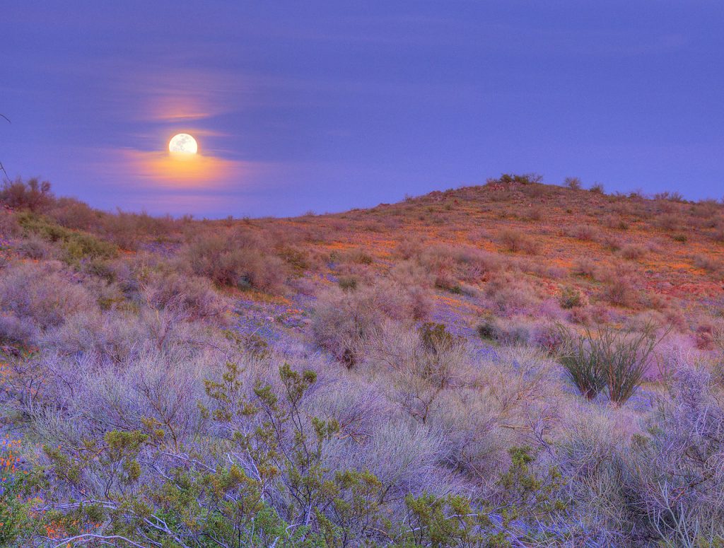 Leutar.net Džeronimo: Poslednji vođa Indijanaca koji se predao „belim ljudima”