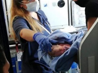 Leutar.net Beba rođena u avionu dobila besplatno da leti cijelog života
