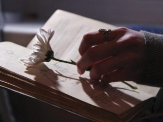 Leutar.net Neko ostari u sedamdesetoj, silom prirode, neko u tridesetoj, silom prilike