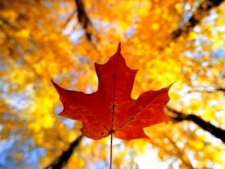 Leutar.net Danas počinje jesen