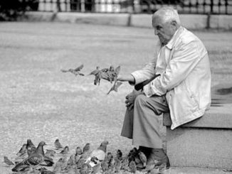 Leutar.net Makaroni, pasulj i sapun