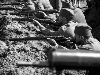 Leutar.net Snežana A. Topalović: Švabov mali