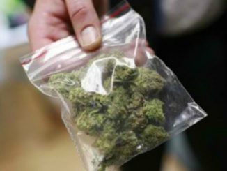 Leutar.net Pokrenuta peticija za legalizaciju marihuane u Crnoj Gori