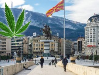Leutar.net Sjeverna Makedonija postaje evropska kanabis supersila
