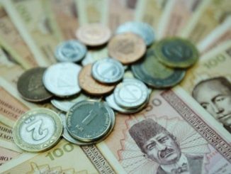 Leutar.net "Direktorica nezakonito sama sebi podigla platu"