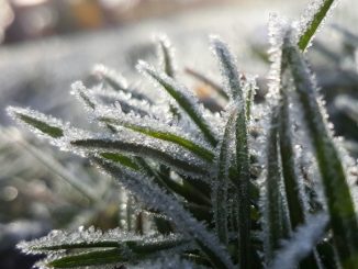 Leutar.net Danas umjereno oblačno i suvo vrijeme