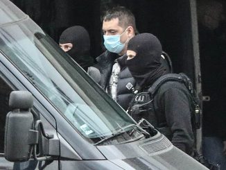 Leutar.net MILIONI ZAKOPANI U TEGLAMA NA PLANINI! Klan Velje Nevolje sakrio gomilu novca po cijeloj Srbiji?