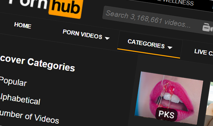 Leutar.net Pornhab otvorio kategoriju "Spotovi Vlade RS"