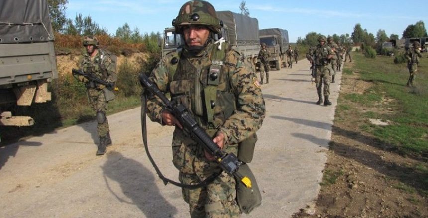Leutar.net Haos na Manjači! Medvjed napao NATO vojnike, za trojicom se traga!