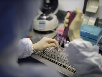 Leutar.net U BiH registrovan prvi slučaj gama soja virusa korona