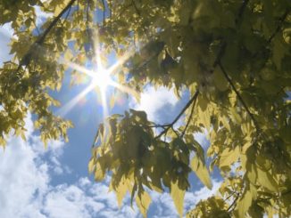 Leutar.net Danas sunčano i toplo, temperatura u porastu