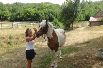 Leutar.net Tamo gdje Hercegovci znaju engleski, a konji i koze francuski: Čudesno selo Zovi Do ima i svoje Amerikance (FOTO)