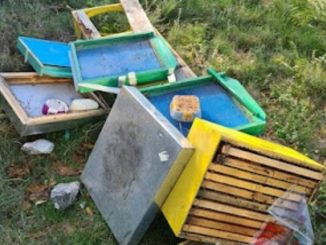 Leutar.net U Bijeljanjima medvjedi uništili košnice