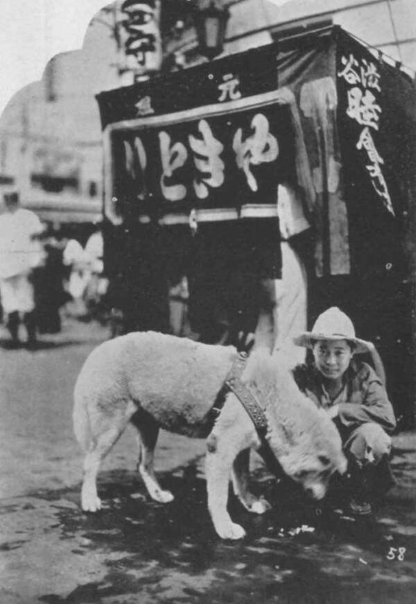 Leutar.net Srceparajuća istinita priča o Hachiku, najvjernijem psu na svijetu