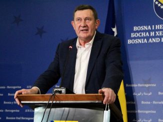 vojin mitrović