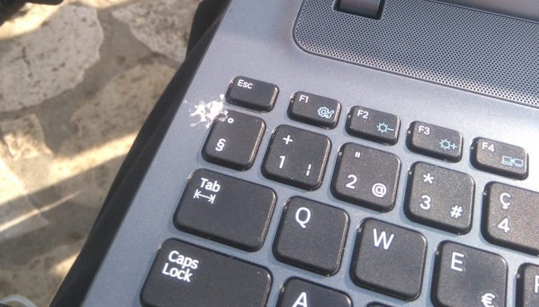 Leutar.net Golub mu se uneredio po laptopu, nećete vjerovati šta se potom dogodilo!